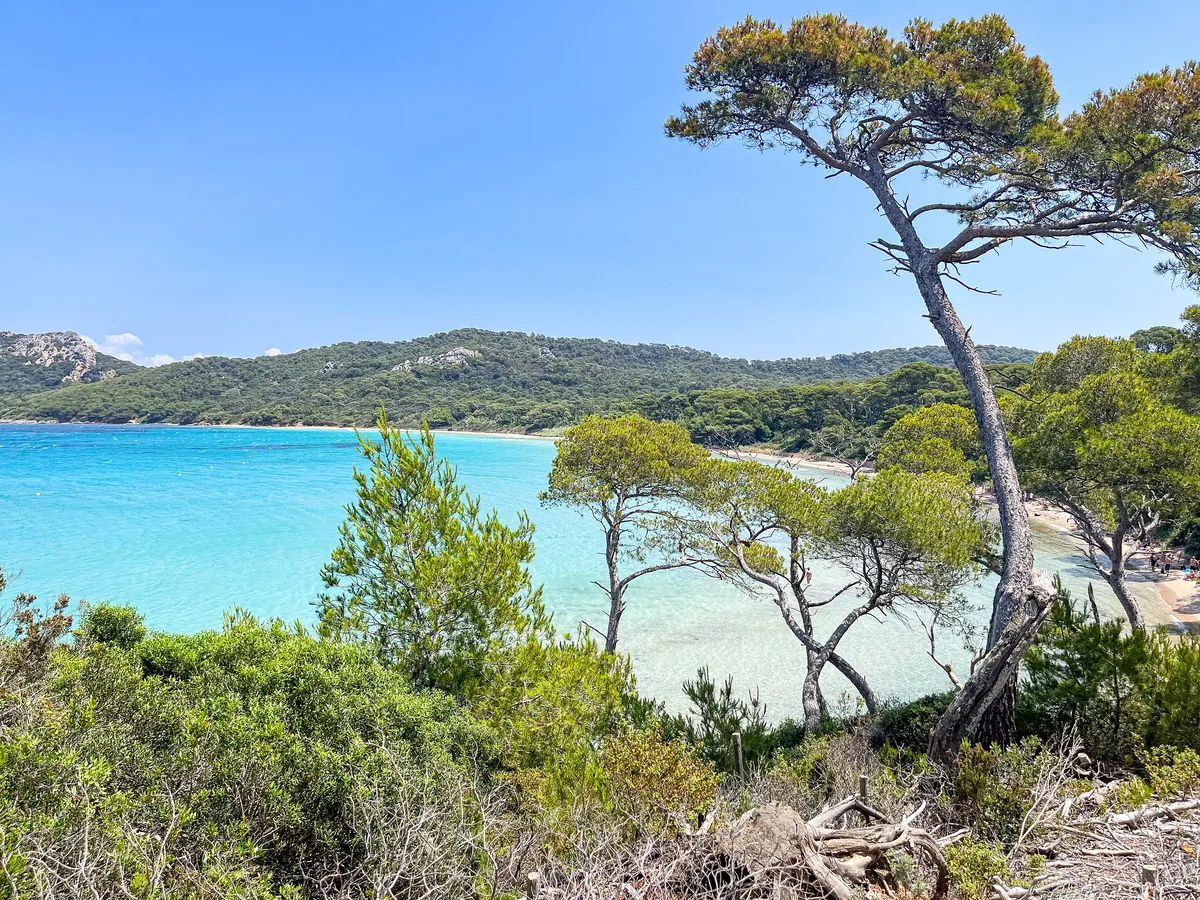 Turquoise water and pines above Notre-Dame beach, Porquerolles